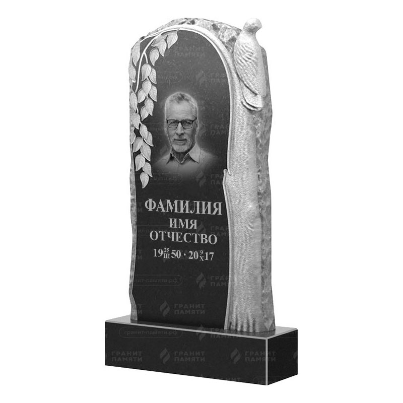 Гранитные памятники в Туле | Гранитный памятник ФГ-206